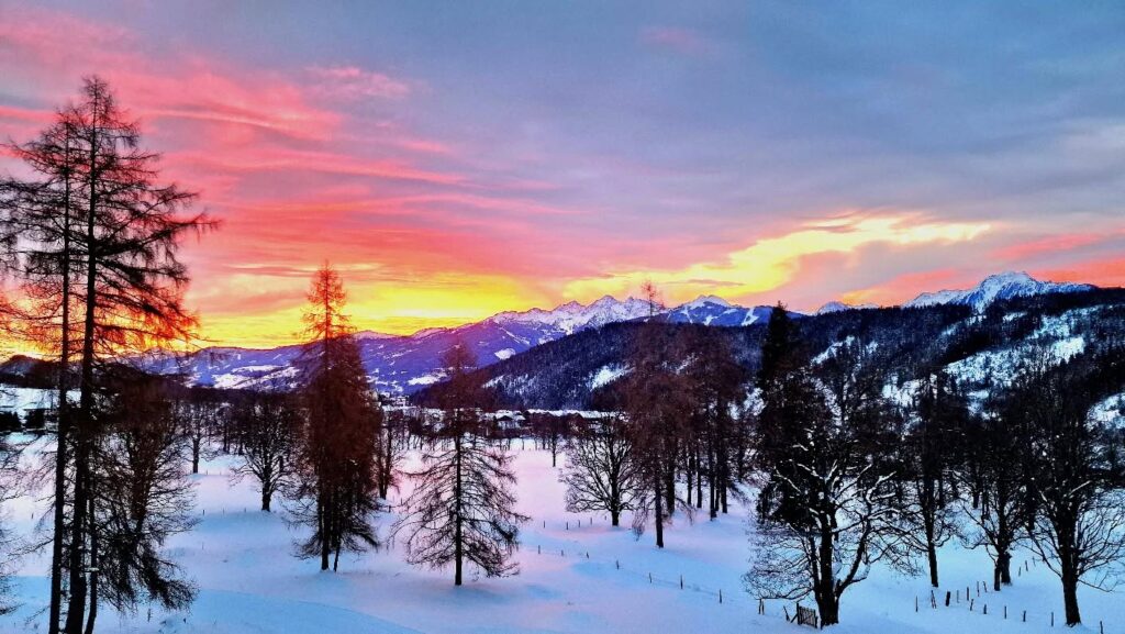 Instagram post from beatrice.turin. This post is in position 8.